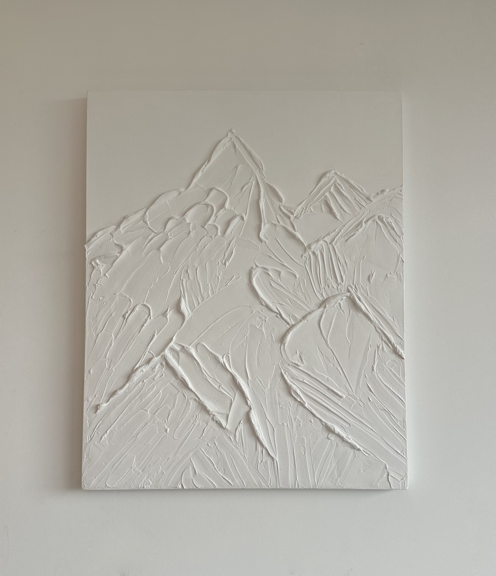 Cuadro Nevado Eterno Texturizado