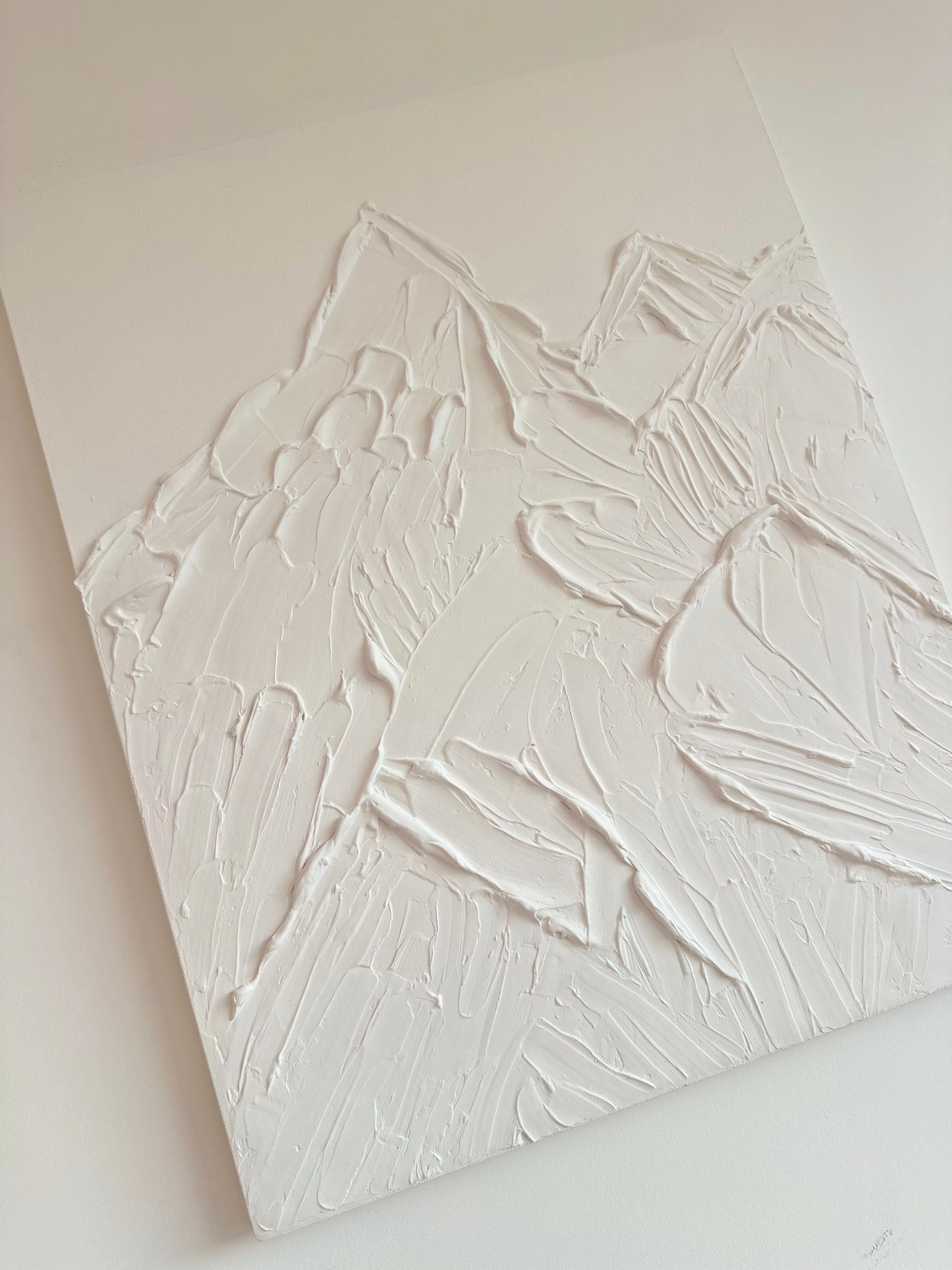 Cuadro Nevado Eterno Texturizado